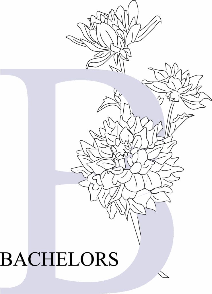 Bachelors
