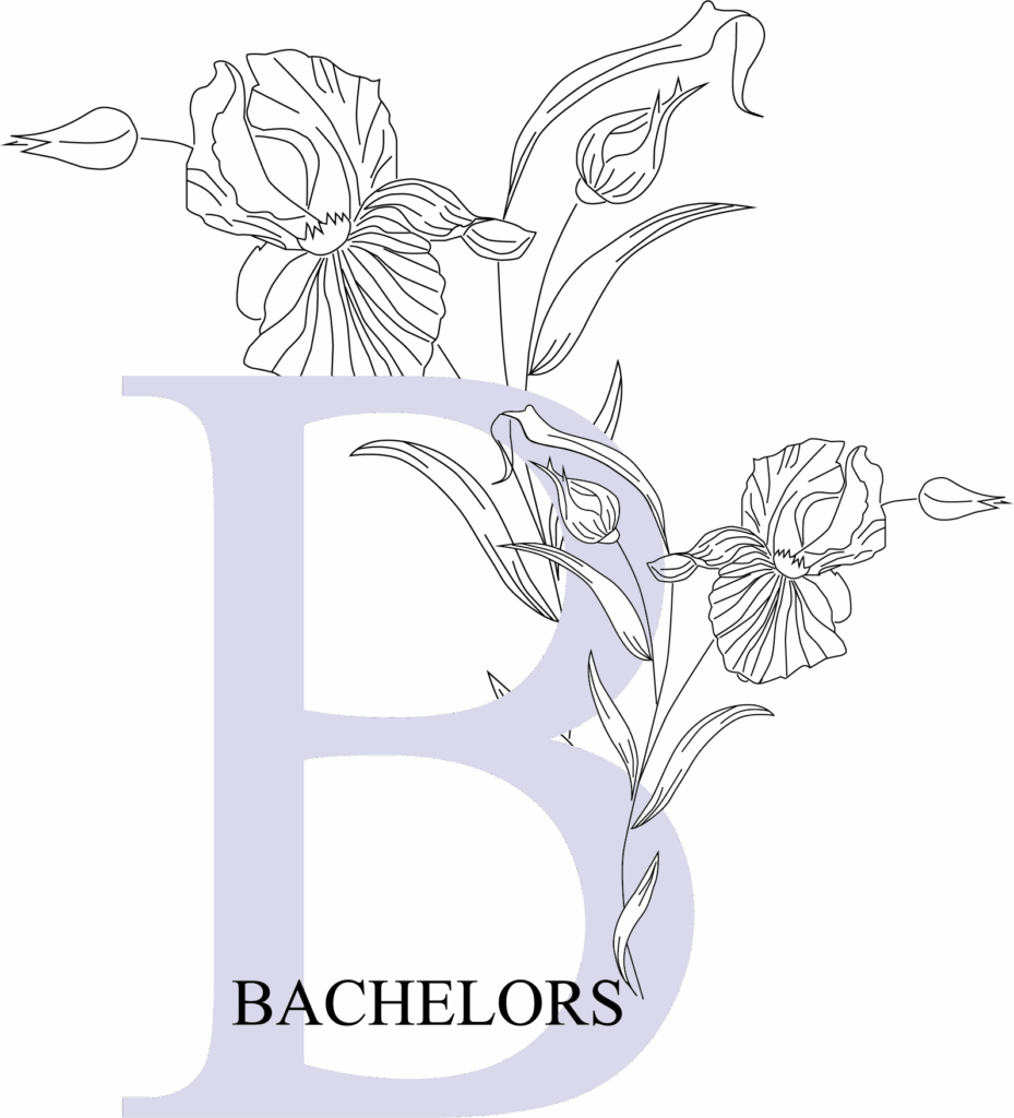 Bachelors